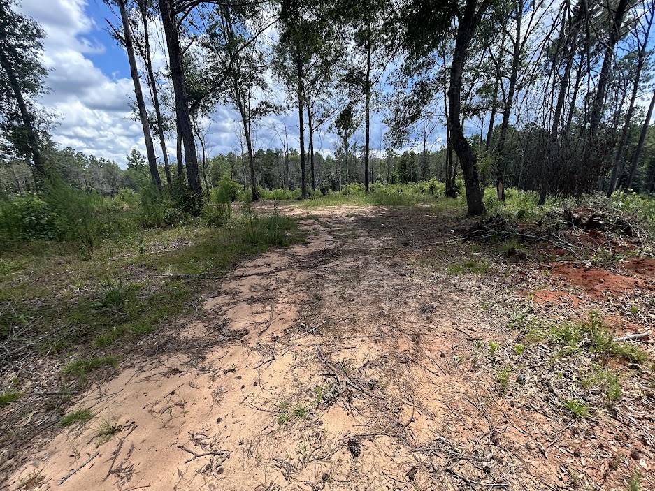 42 Acres in Autauga County – Secluded, Fenced, and Hunting Ready