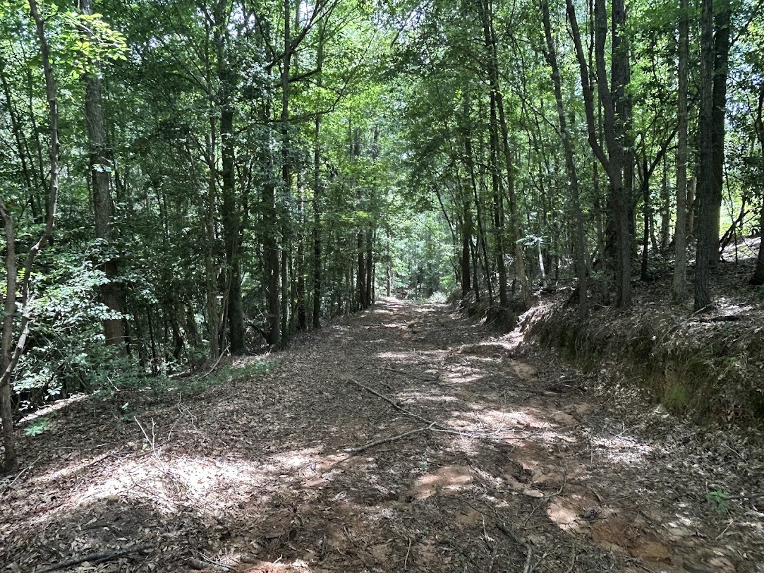 42 Acres in Autauga County – Secluded, Fenced, and Hunting Ready