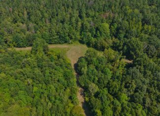 210 Acre Turn-Key Recreational Property for Sale in Dayton, Alabama