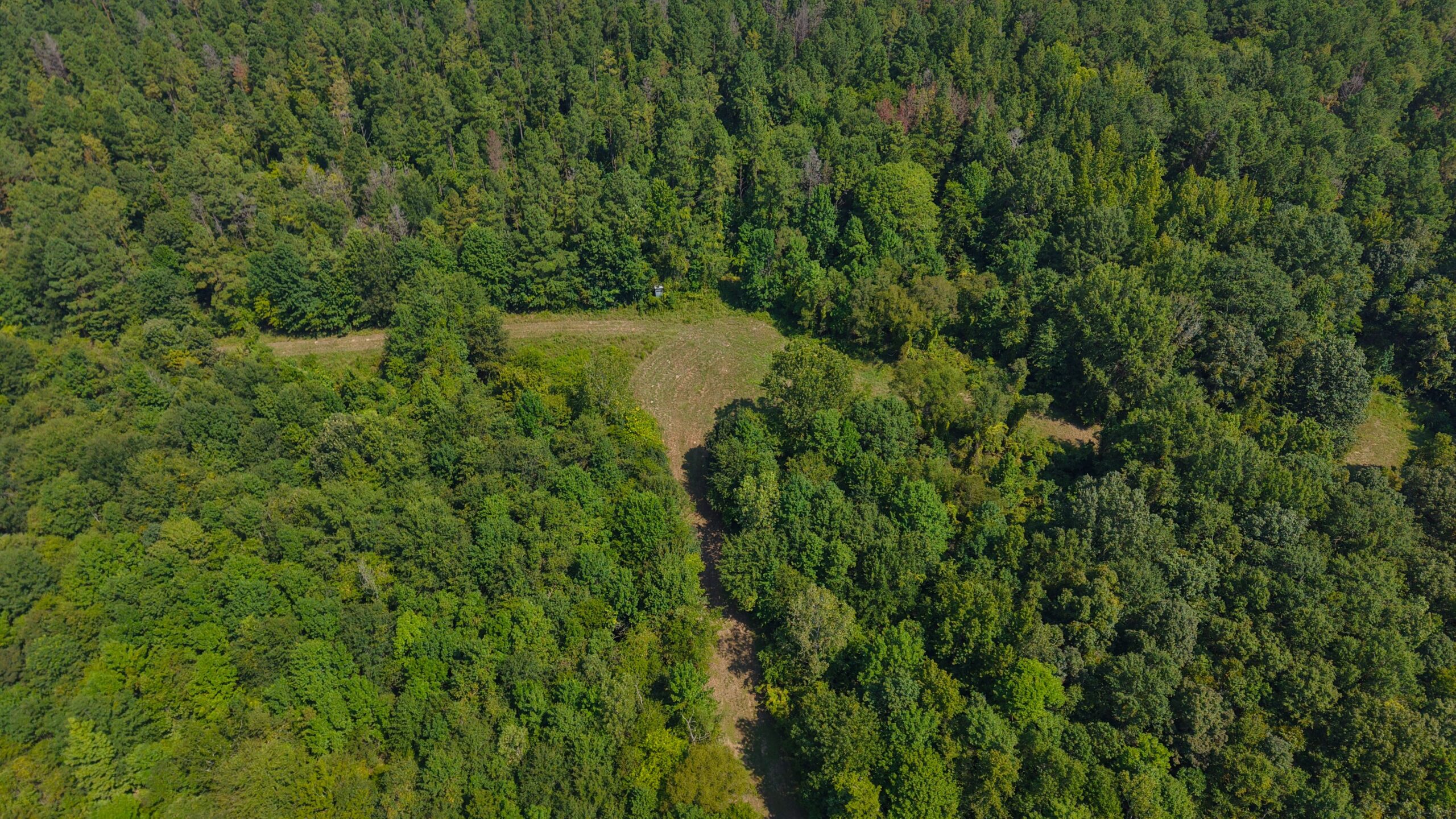 210 Acre Turn-Key Recreational Property for Sale in Dayton, Alabama