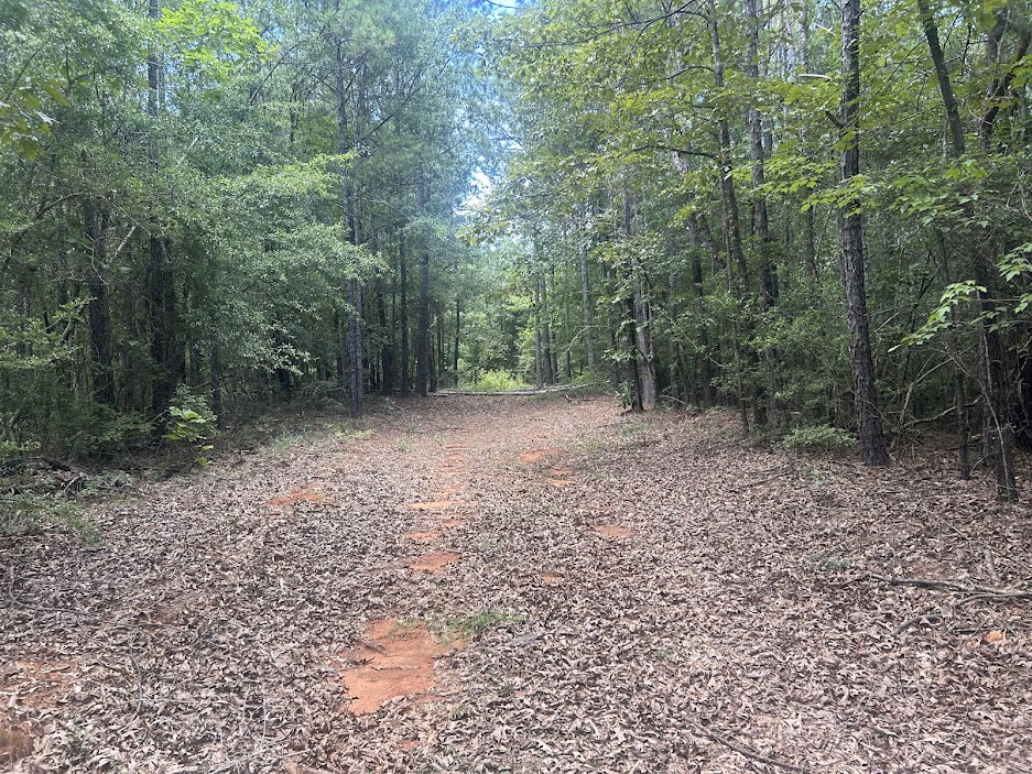 42 Acres in Autauga County – Secluded, Fenced, and Hunting Ready