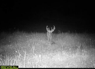 Lakefront Acreage With Cabin For Sale in Northern Wisconsin