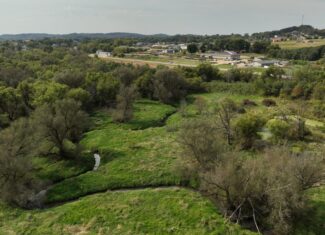 Recreational Land for Sale with Trout Stream in Southwest Wisconsin
