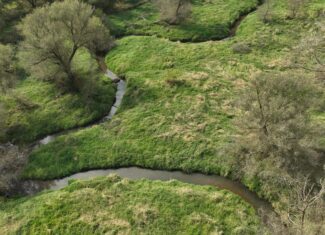 Recreational Land for Sale with Trout Stream in Southwest Wisconsin