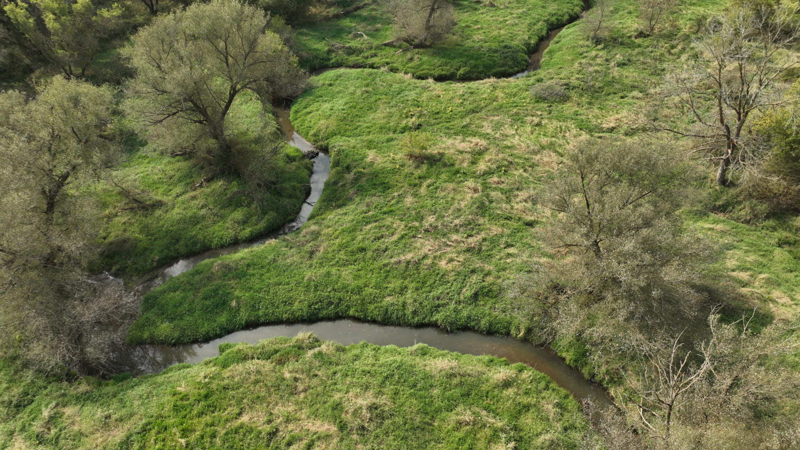 Recreational Land for Sale with Trout Stream in Southwest Wisconsin