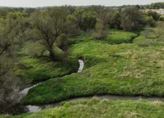 Recreational Land for Sale with Trout Stream in Southwest Wisconsin