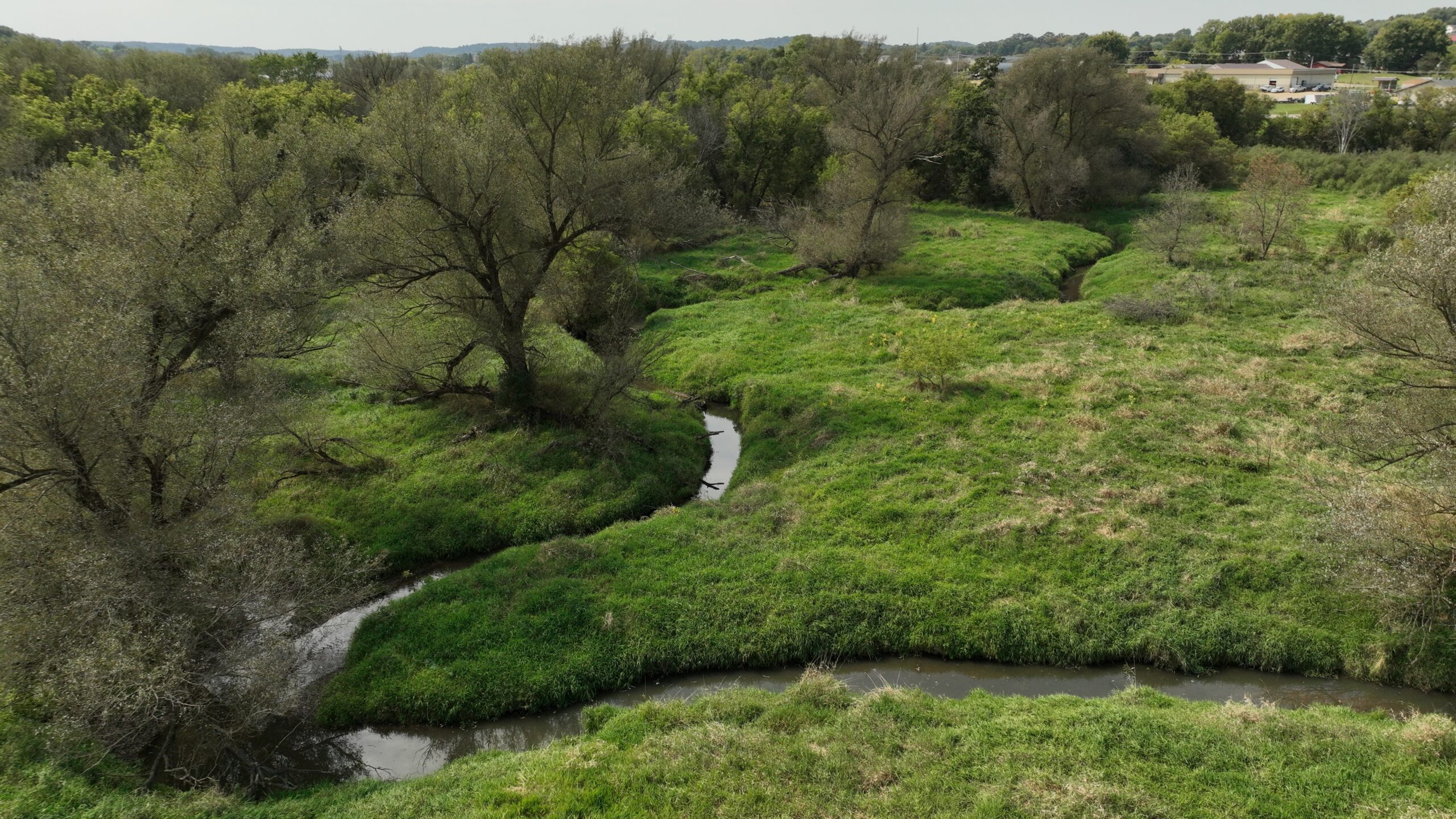 Recreational Land for Sale with Trout Stream in Southwest Wisconsin