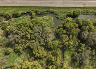 Recreational Land for Sale with Trout Stream in Southwest Wisconsin