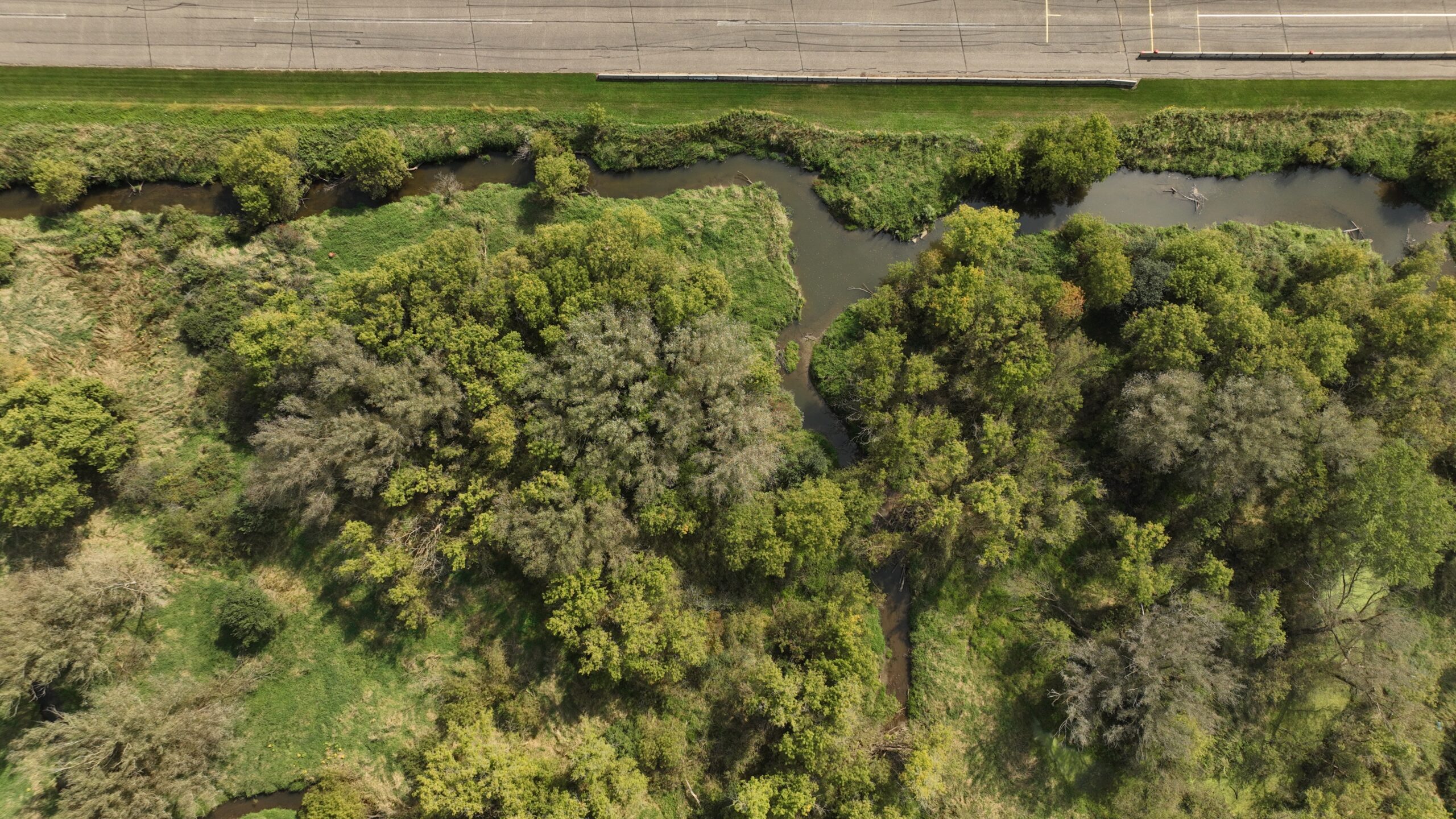 Recreational Land for Sale with Trout Stream in Southwest Wisconsin