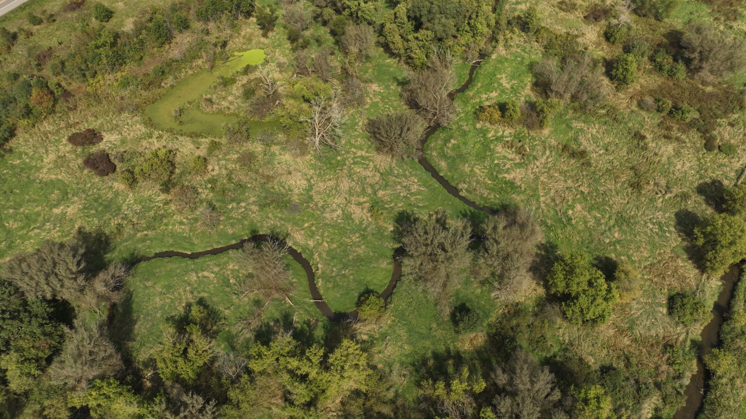 Recreational Land for Sale with Trout Stream in Southwest Wisconsin