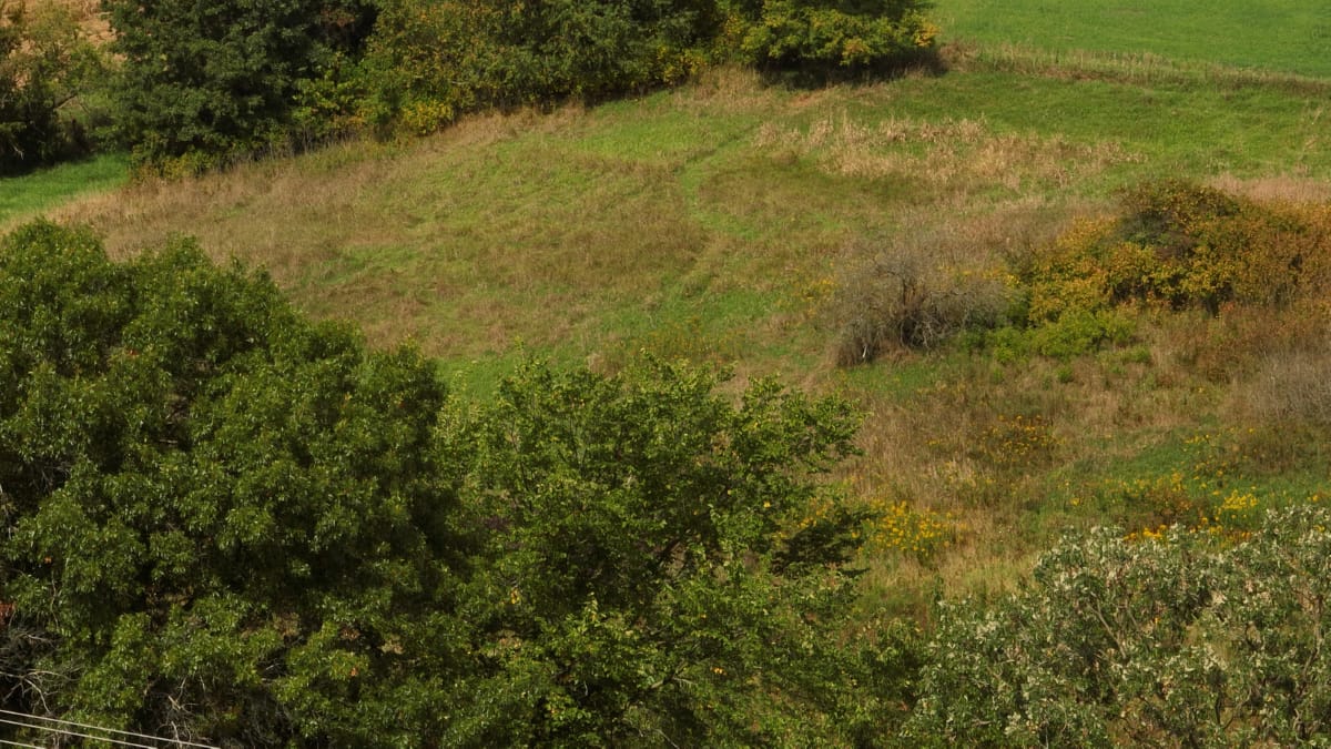 Affordable Recreational Land for Sale in Hillsboro, Wisconsin