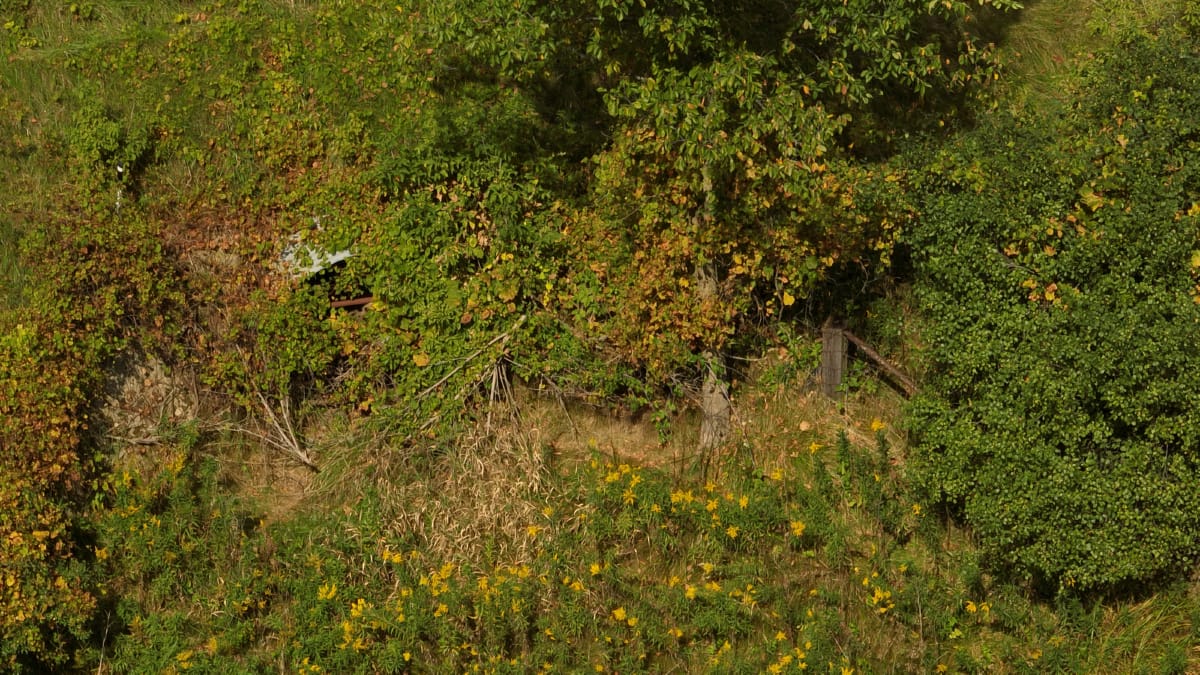 Affordable Recreational Land for Sale in Hillsboro, Wisconsin