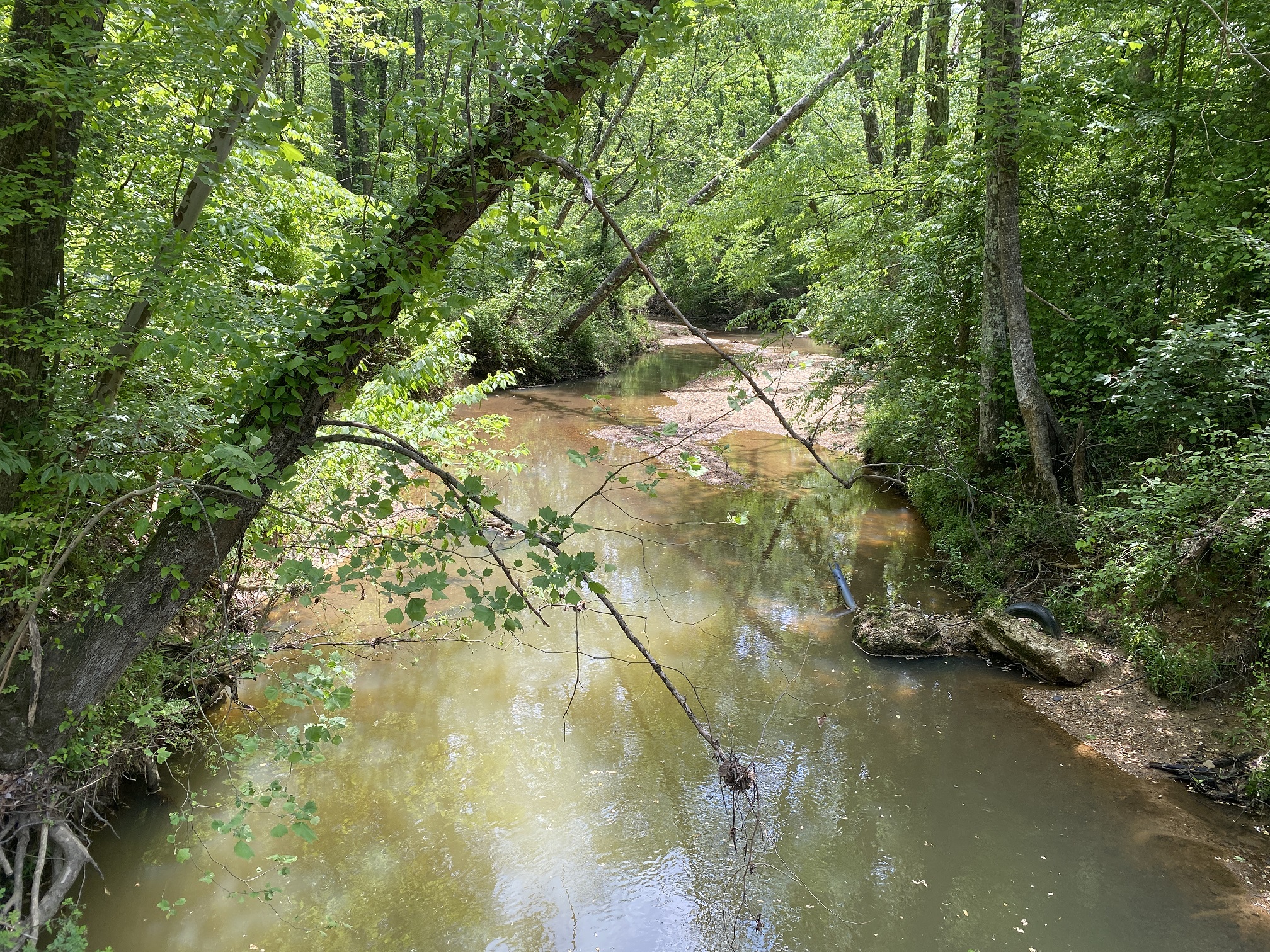 LAND FOR SALE IN TN, CREEKS, OPEN LAND, WOODED, CITY WATER