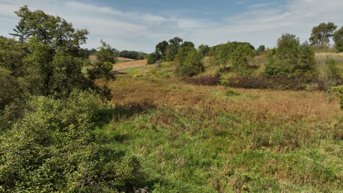 Affordable Recreational Land for Sale in Hillsboro, Wisconsin