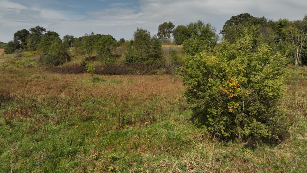 Affordable Recreational Land for Sale in Hillsboro, Wisconsin