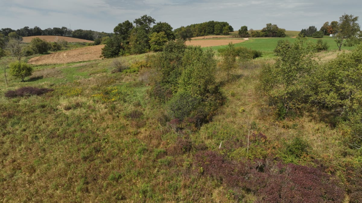 Affordable Recreational Land for Sale in Hillsboro, Wisconsin