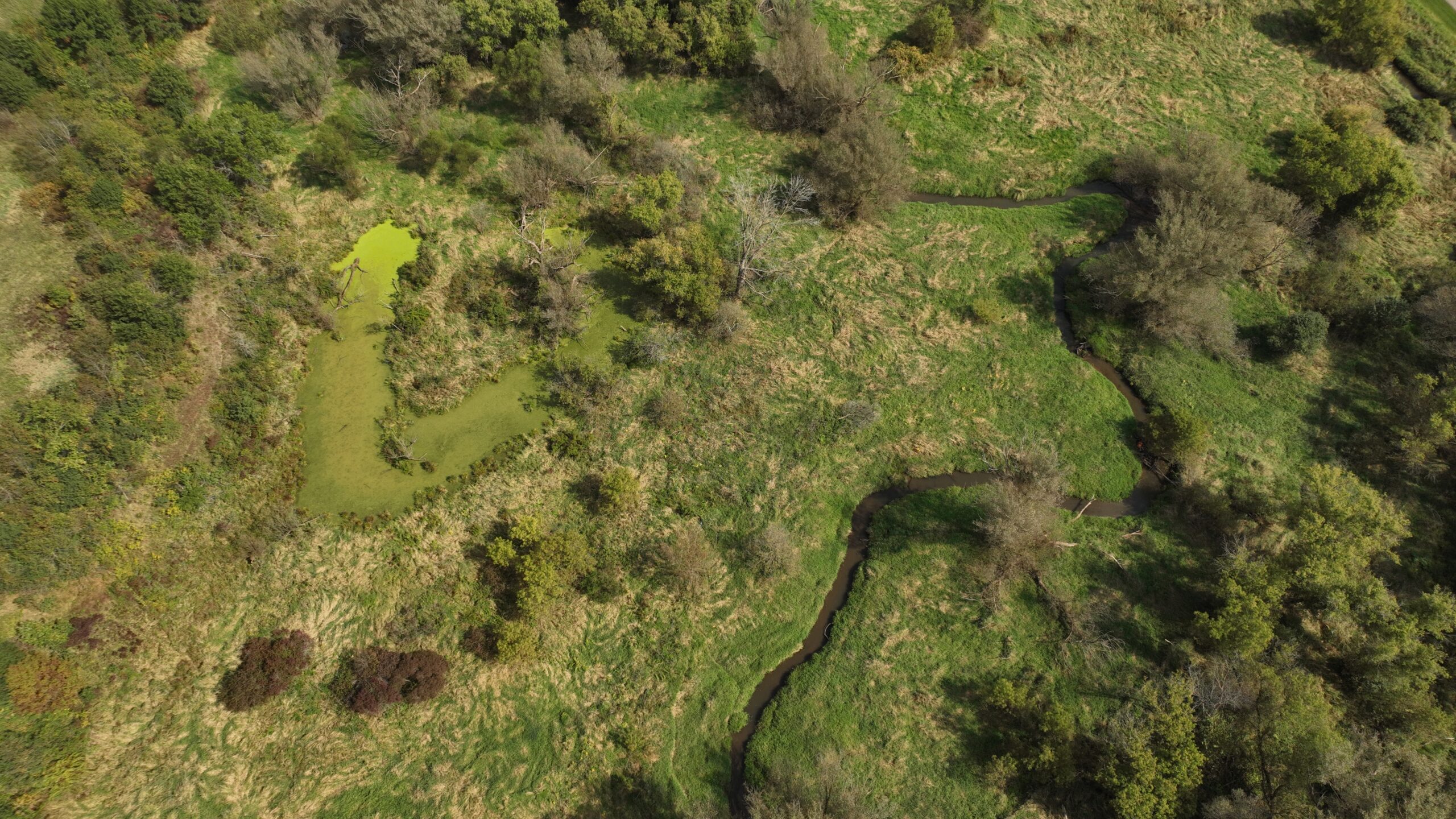 Recreational Land for Sale with Trout Stream in Southwest Wisconsin