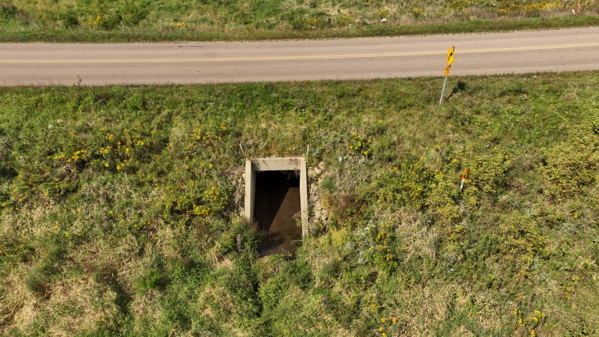 Affordable Recreational Land for Sale in Hillsboro, Wisconsin