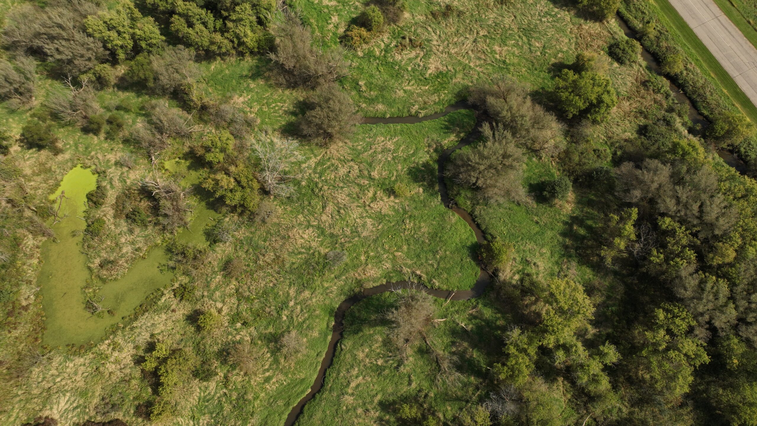 Recreational Land for Sale with Trout Stream in Southwest Wisconsin