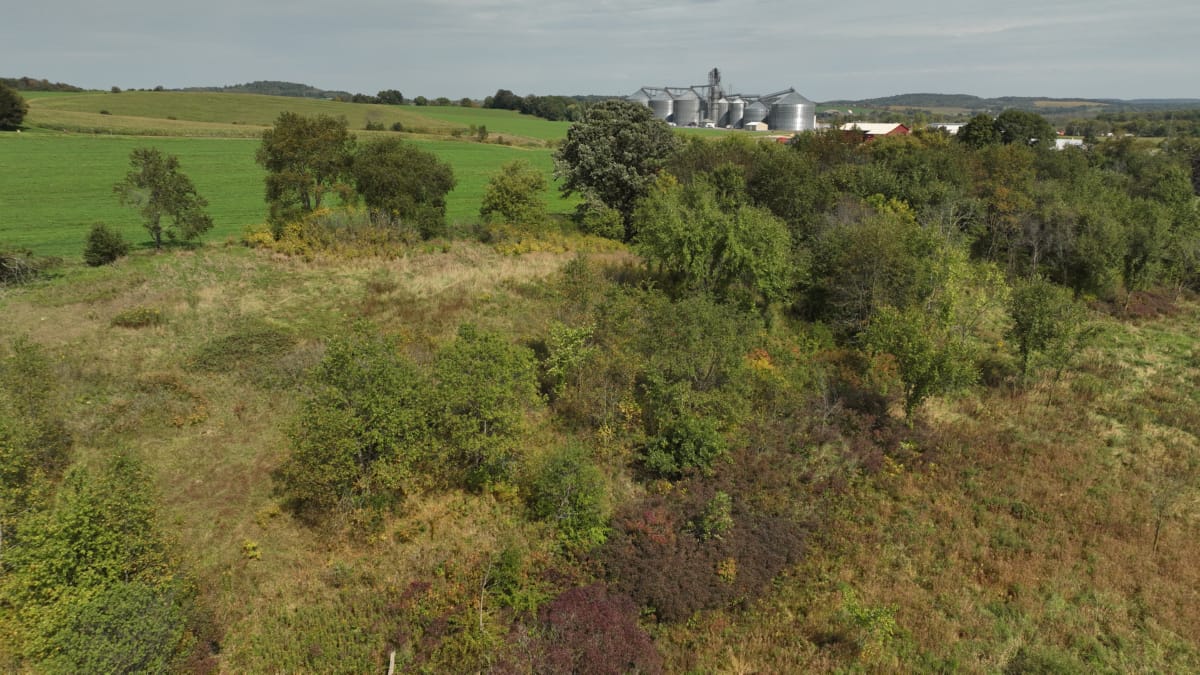 Affordable Recreational Land for Sale in Hillsboro, Wisconsin
