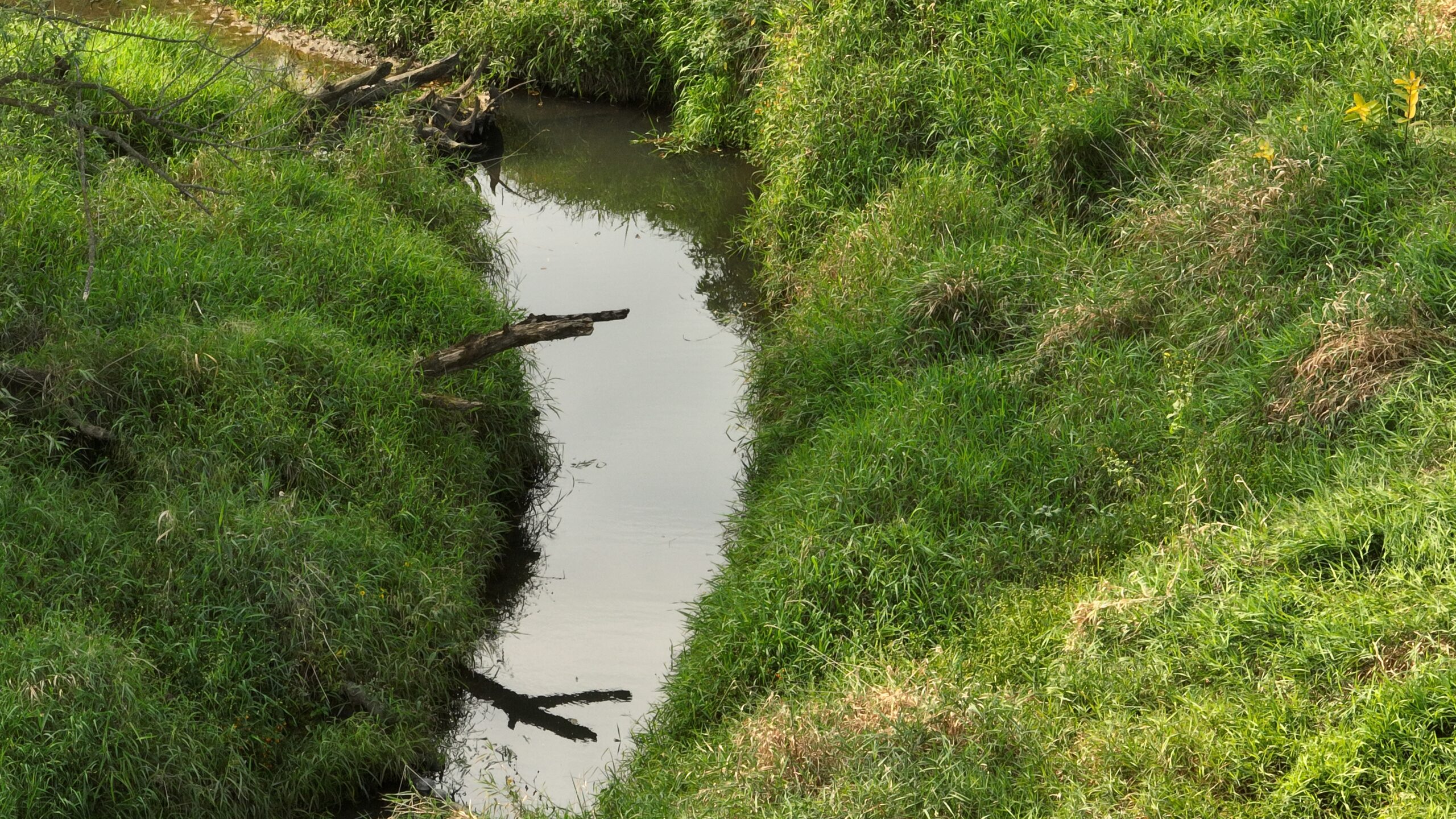Recreational Land for Sale with Trout Stream in Southwest Wisconsin
