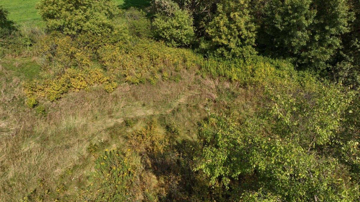 Affordable Recreational Land for Sale in Hillsboro, Wisconsin