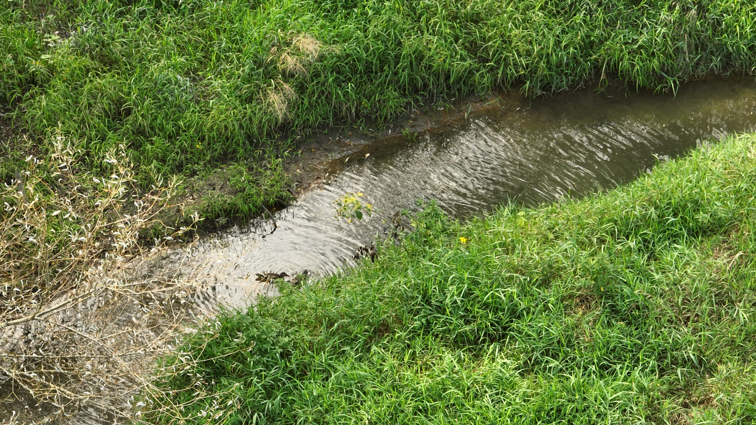 Recreational Land for Sale with Trout Stream in Southwest Wisconsin