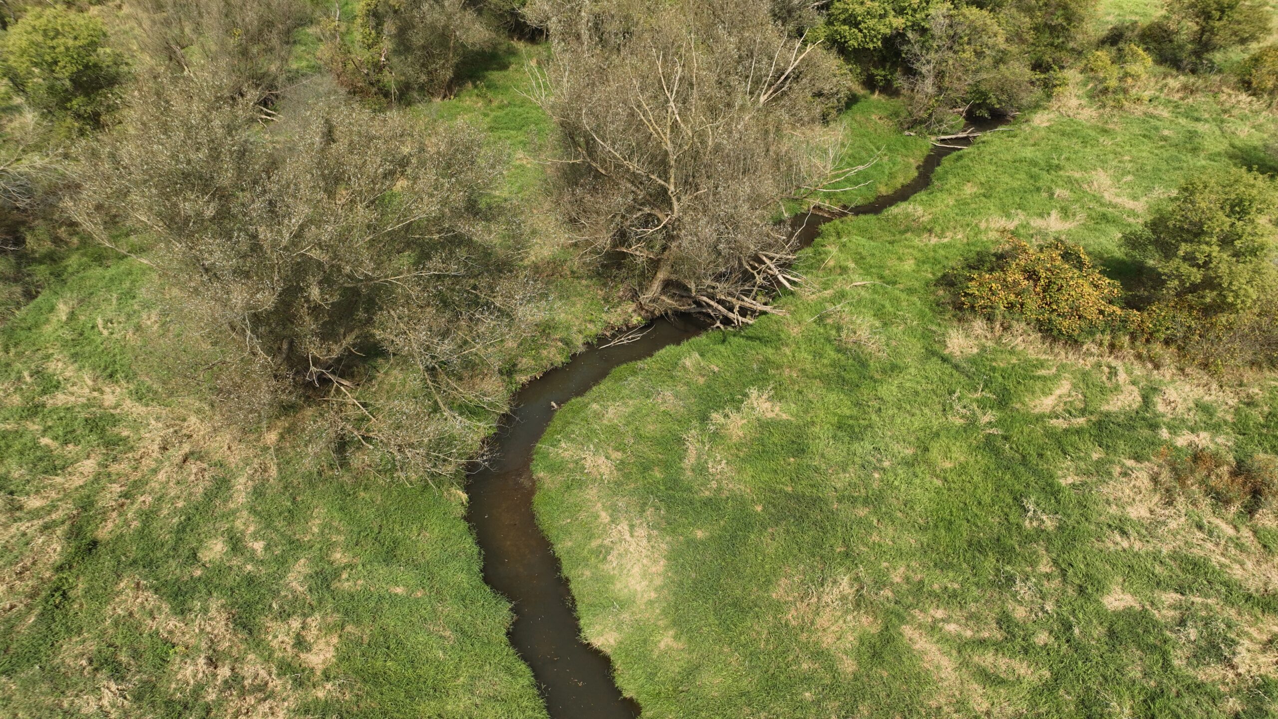 Recreational Land for Sale with Trout Stream in Southwest Wisconsin