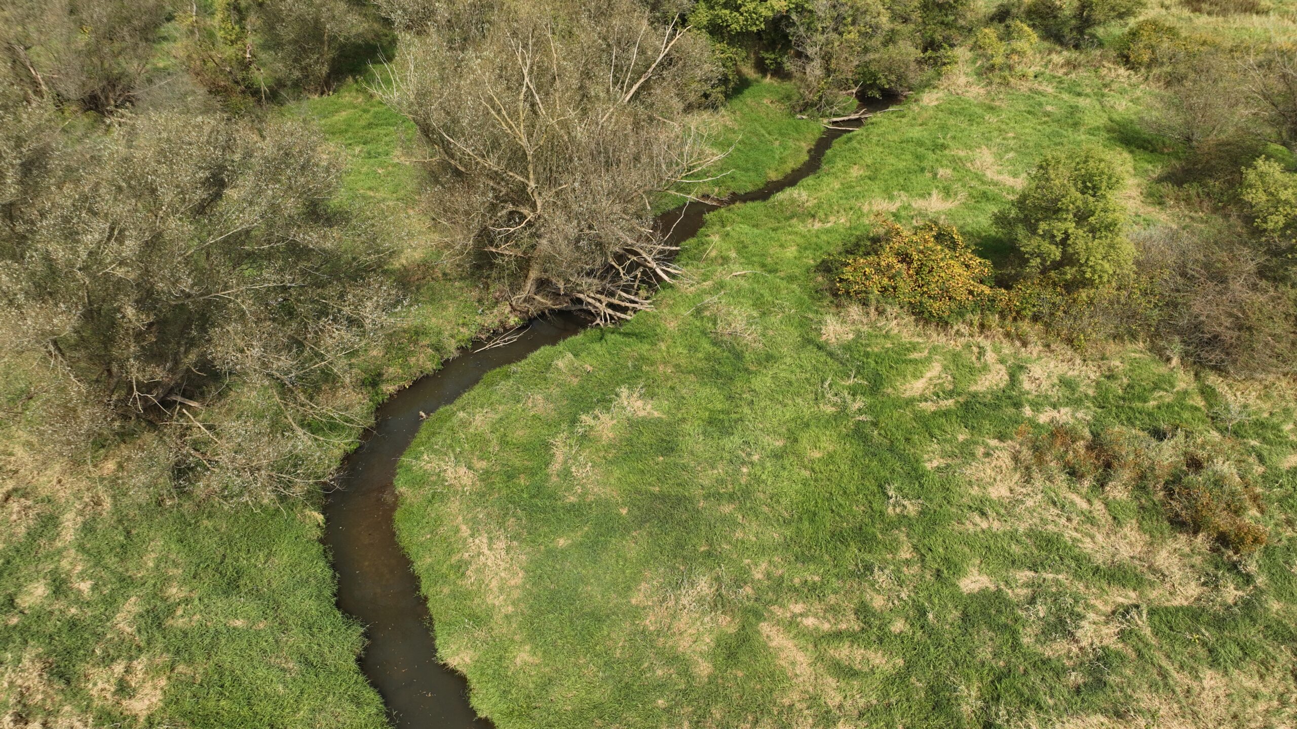 Recreational Land for Sale with Trout Stream in Southwest Wisconsin