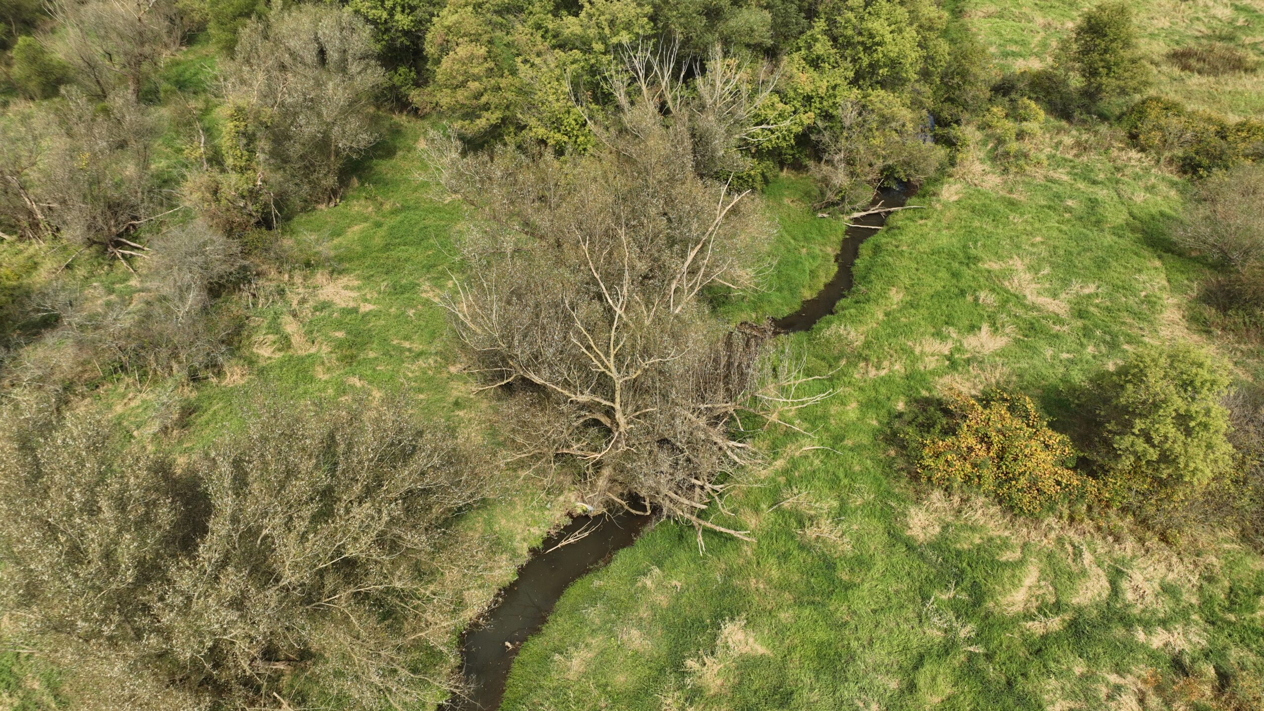 Recreational Land for Sale with Trout Stream in Southwest Wisconsin