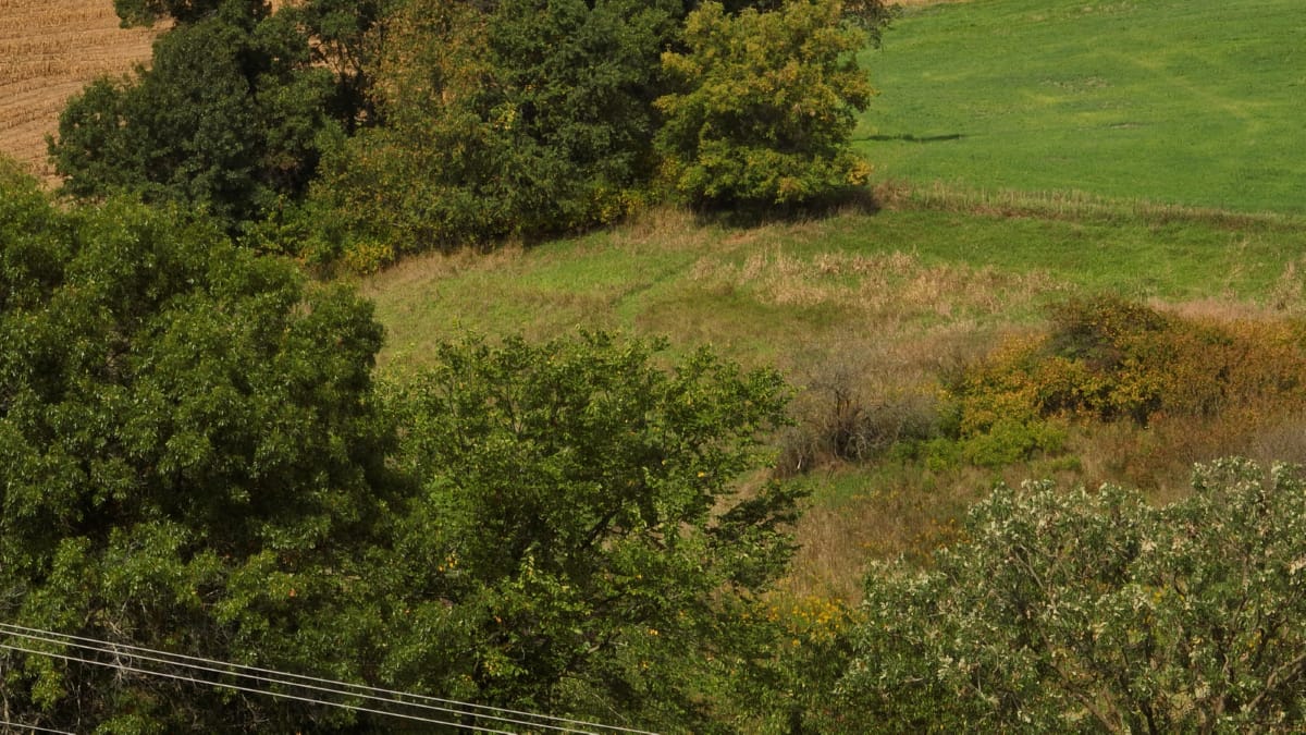 Affordable Recreational Land for Sale in Hillsboro, Wisconsin