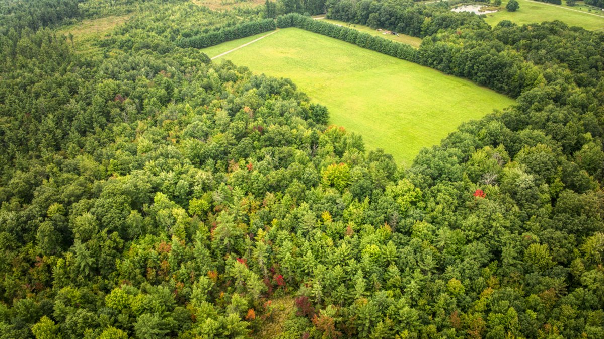 Hunting Camp on Poertner Rd in Clark County WI