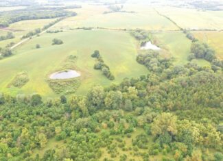 Hunter’s Paradise – 40 Acres…Row Crop, Timber, Building Potential