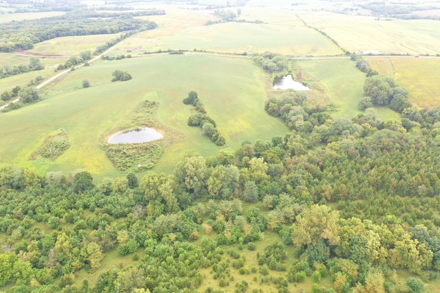 Hunter’s Paradise – 40 Acres…Row Crop, Timber, Building Potential