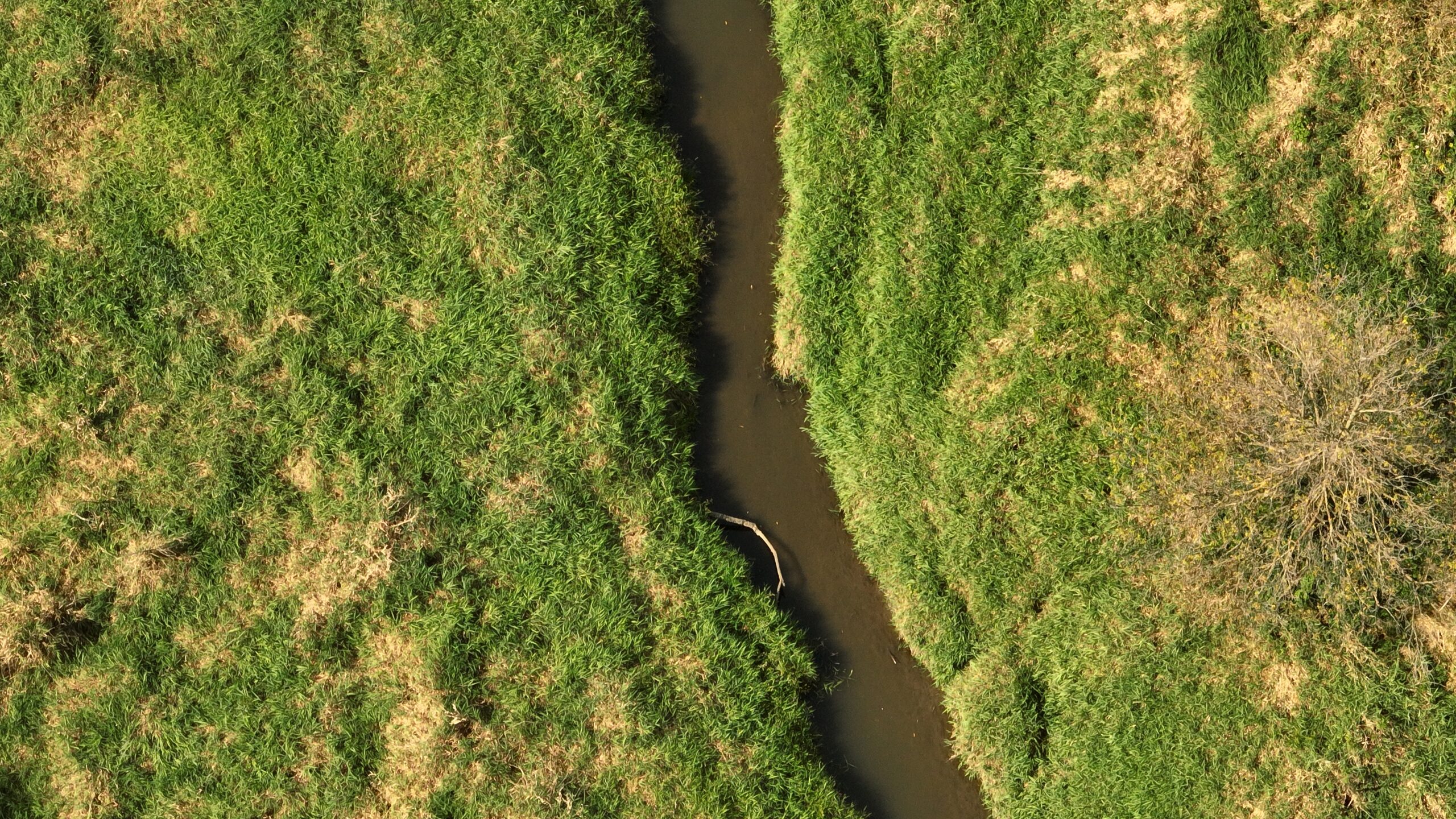 Recreational Land for Sale with Trout Stream in Southwest Wisconsin
