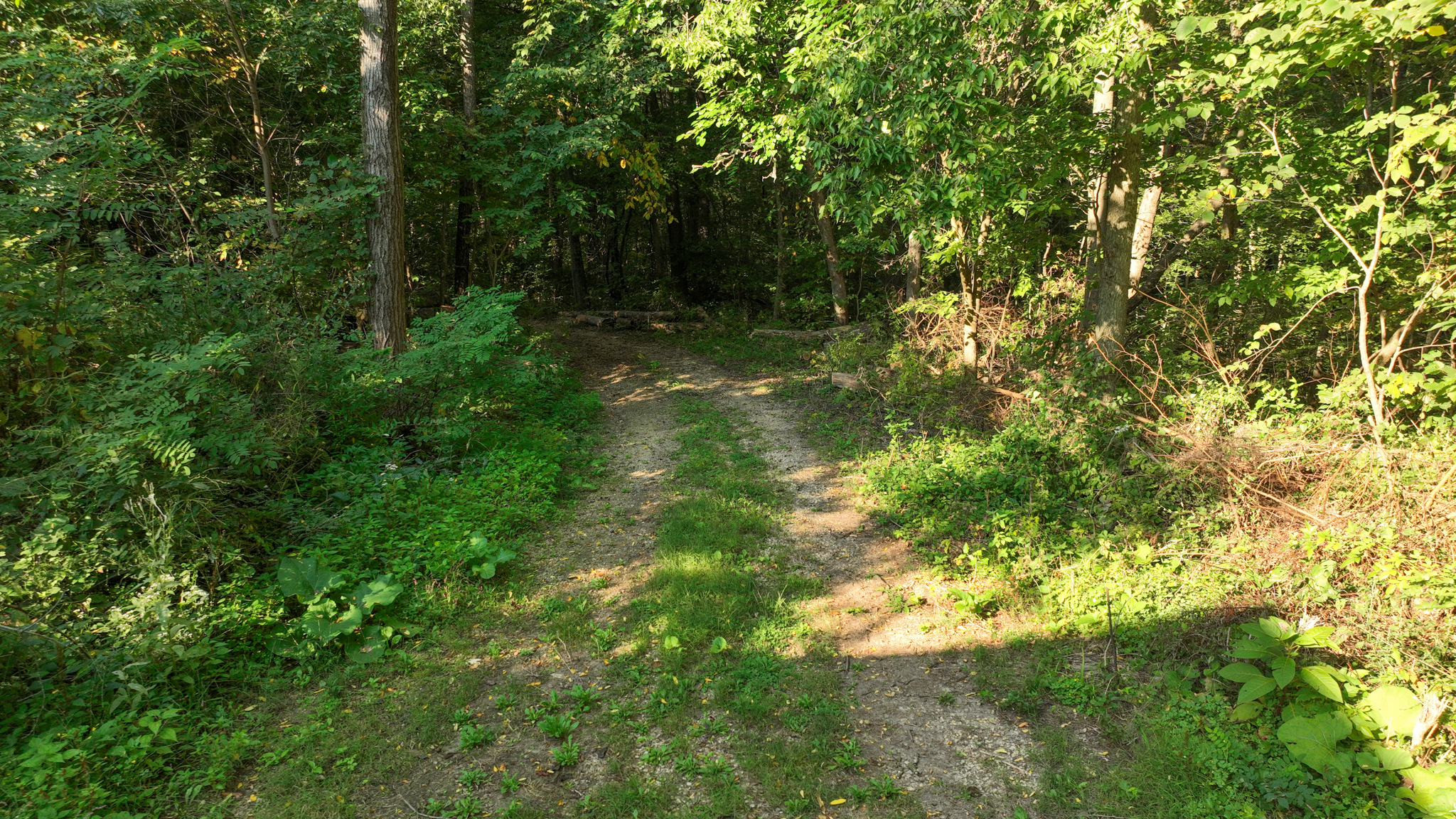 Wisconsin River Cabin for Sale in Richland County, WI – Bordering Public Hunting Land