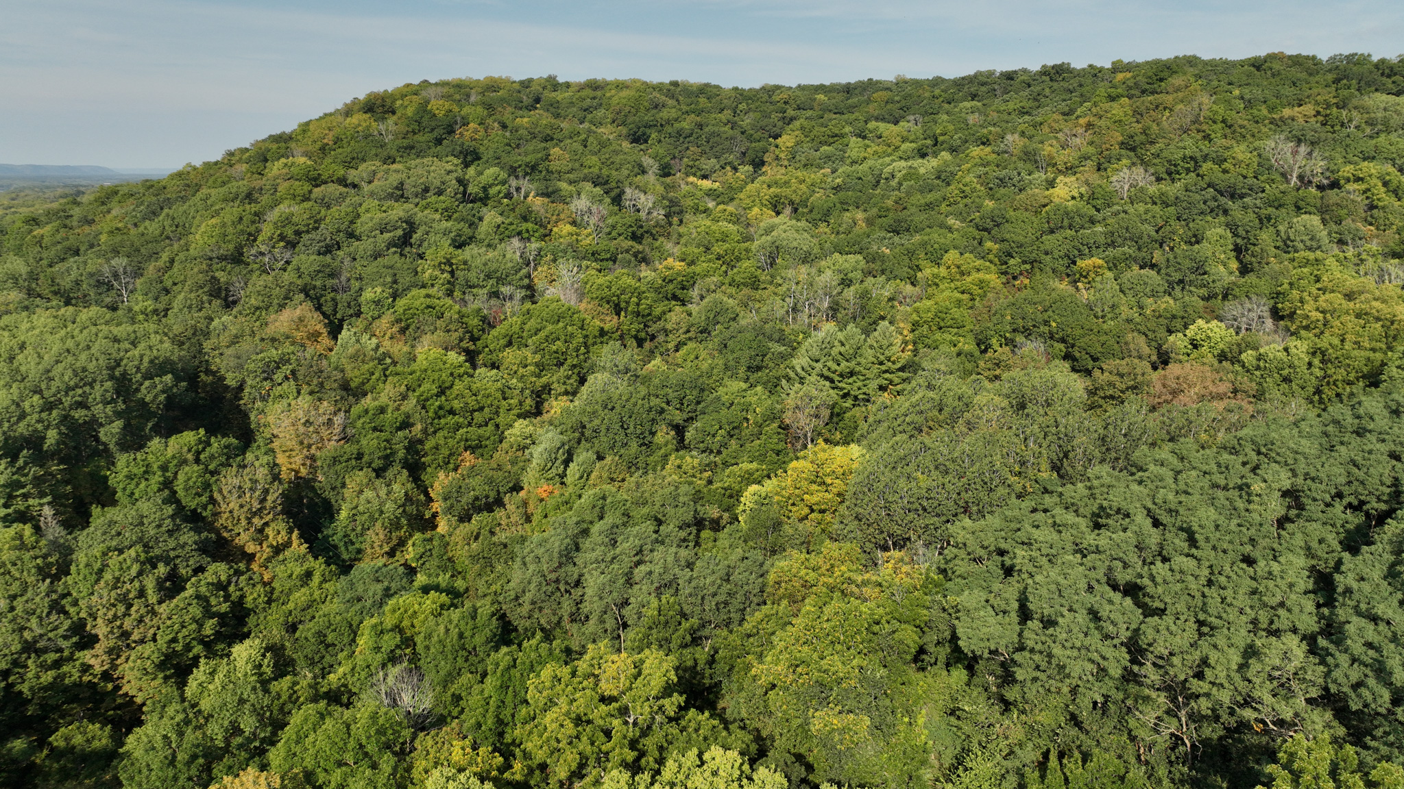 Wisconsin River Cabin for Sale in Richland County, WI – Bordering Public Hunting Land