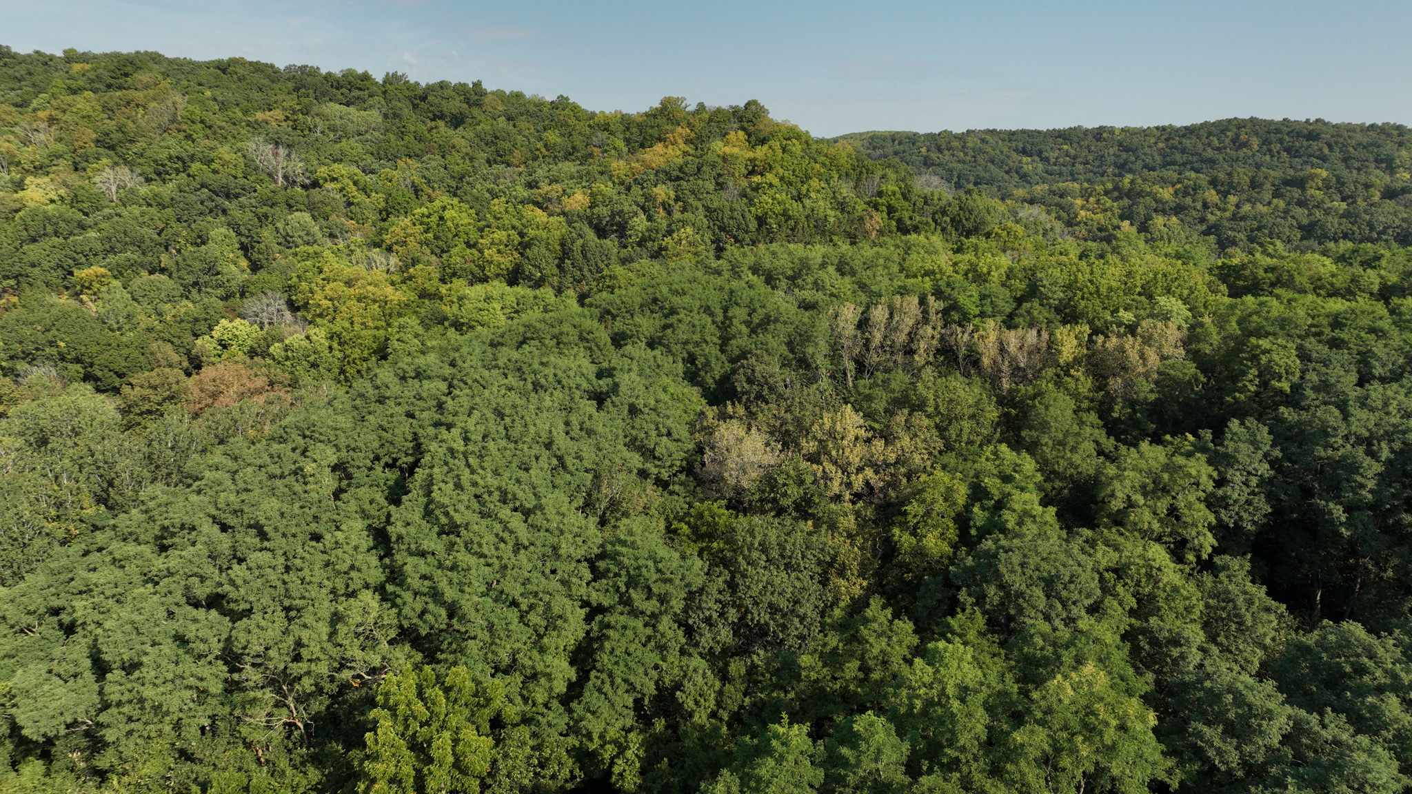 Wisconsin River Cabin for Sale in Richland County, WI – Bordering Public Hunting Land