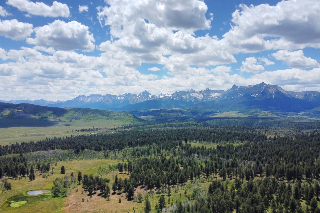 161 Acres San Juan Mountain Land for Sale in Placerville, CO