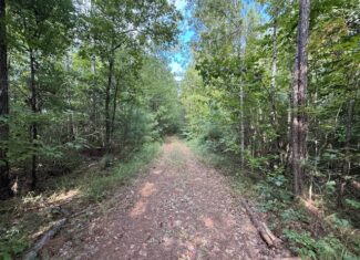 Thomaston Family Hunting and Homesite