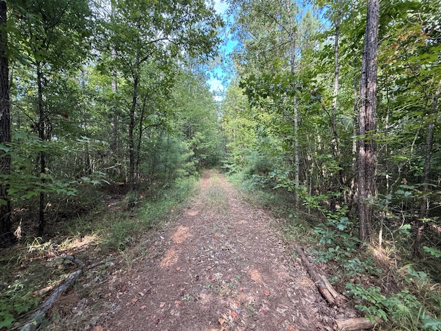 Thomaston Family Hunting and Homesite