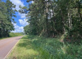 14+- Acre Homesite and Hunting Land for Sale Summit MS