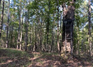 HUNTING CAMP FOR SALE IN TN. CABIN & STORAGE, 58 ACRES+/-