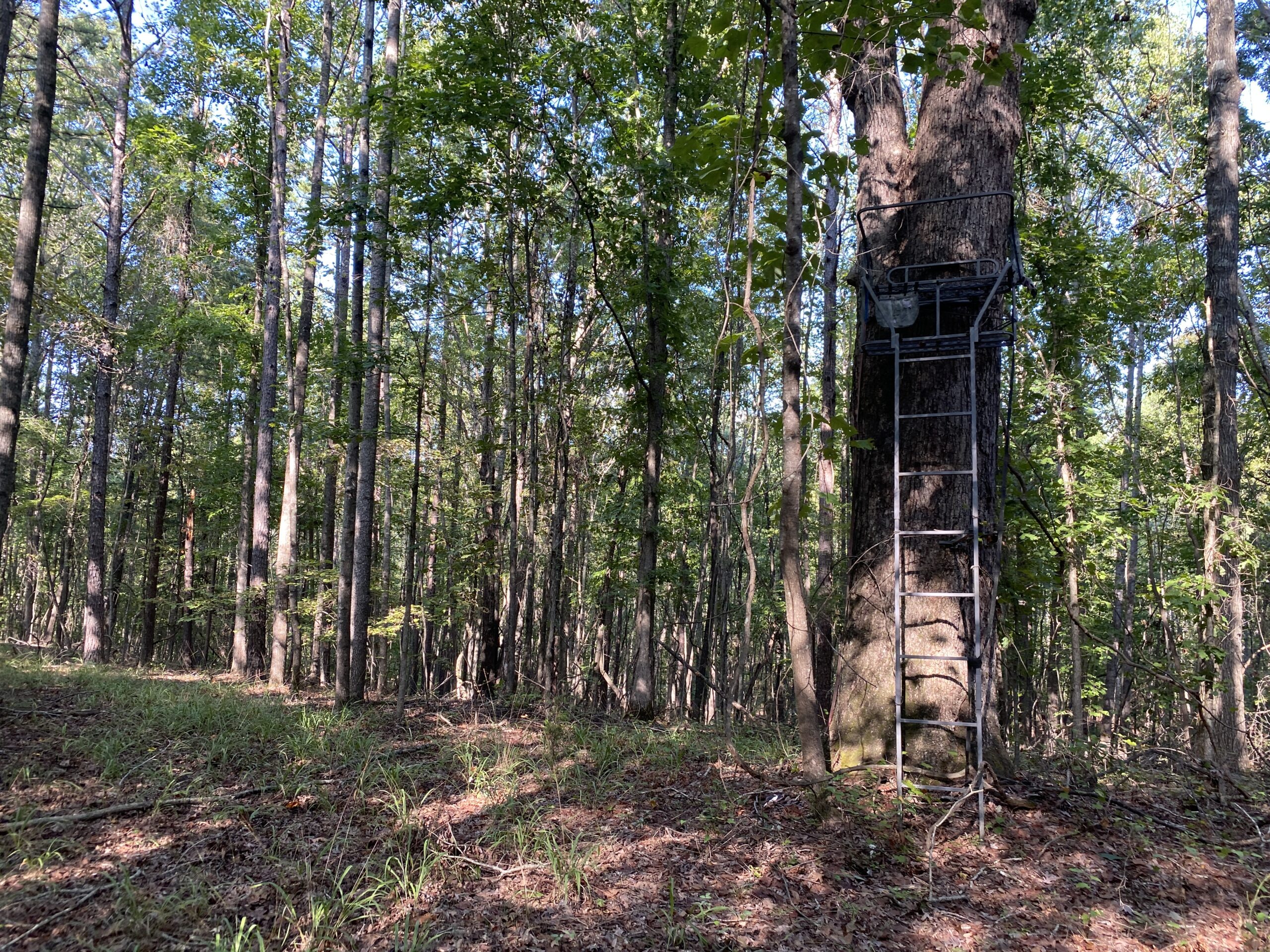 HUNTING CAMP FOR SALE IN TN. CABIN & STORAGE, 58 ACRES+/-