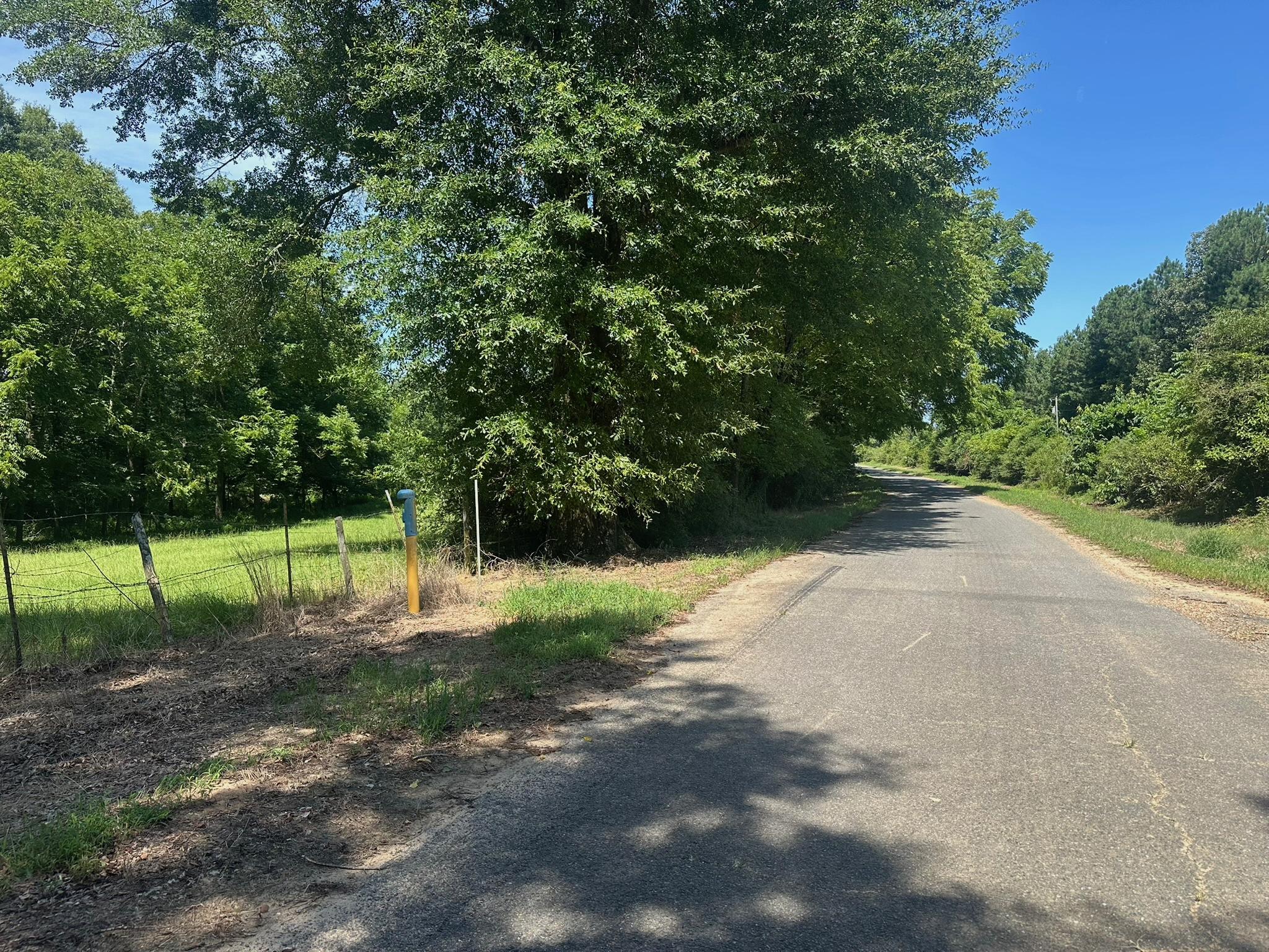 Hunting Property and Homesite in Jackson Parish LA