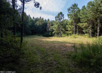 Hunting Land for Sale in Copiah County MS – Dixie Garden 46