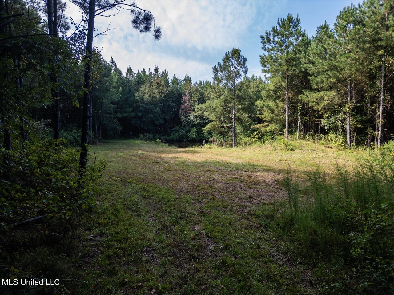 Hunting Land for Sale in Copiah County MS – Dixie Garden 46