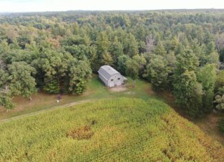40 acres just north of Wisconsin Dells with abundant deer & turkey habitat