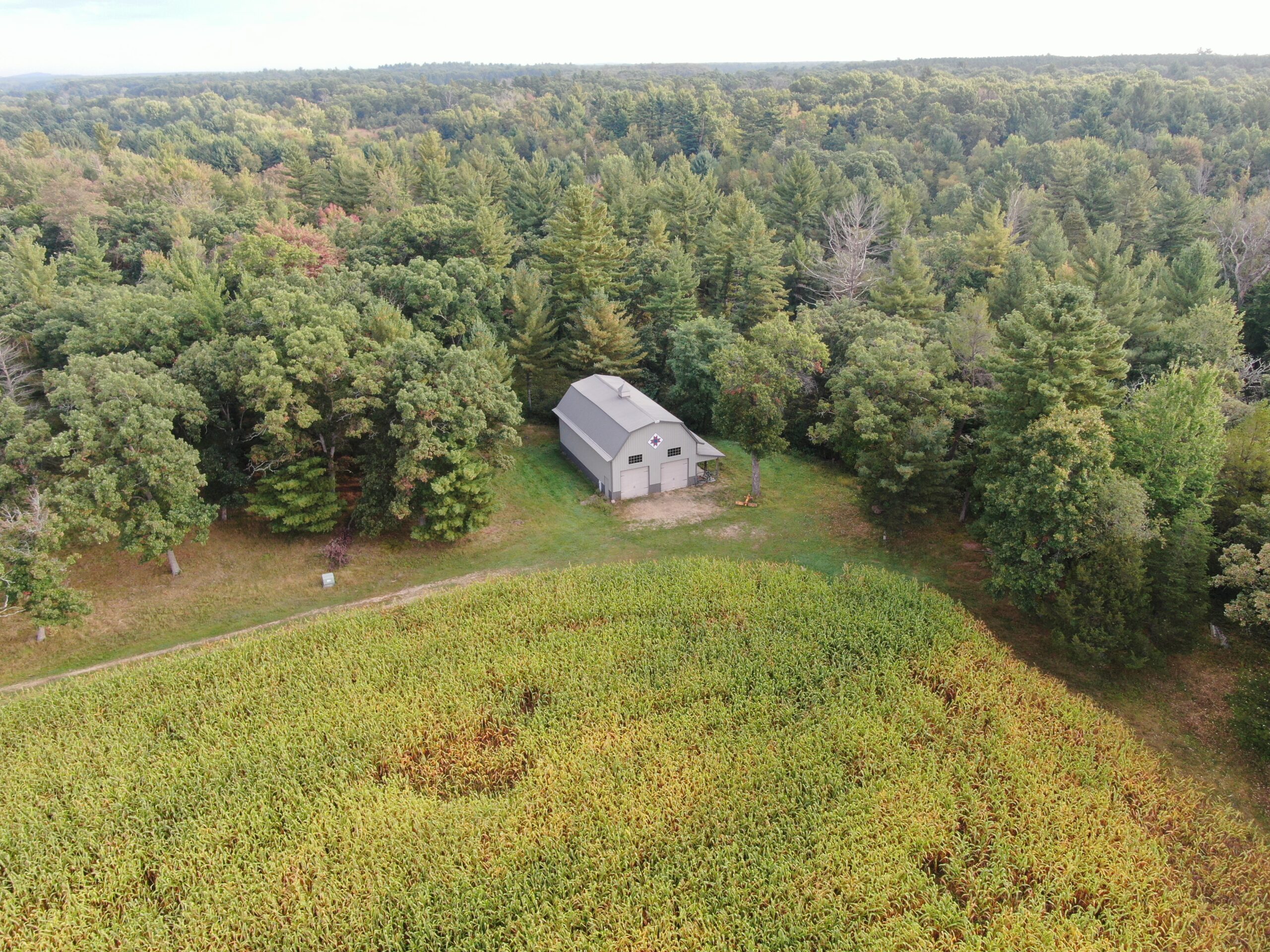 40 acres just north of Wisconsin Dells with abundant deer & turkey habitat