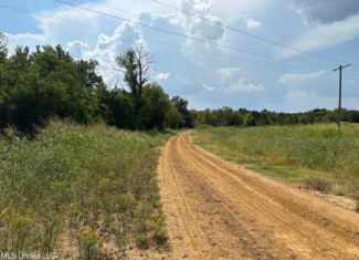 95 Acres for Sale in Hinds County Jackson, MS